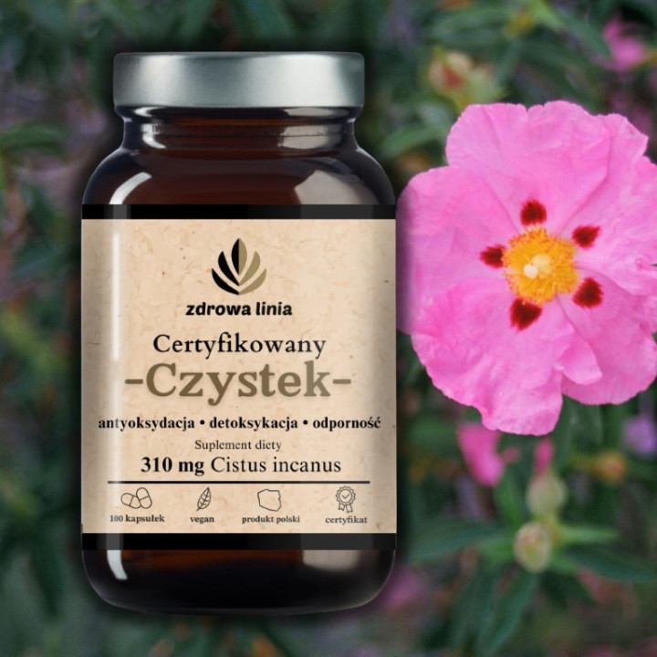 Certyfikowany Czystek 310 mg Zdrowa Linia odporność detoks