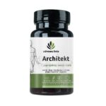 Architekt suplement diety dla kobiet i mężczyzn